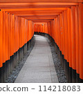 伏見稻荷大社的紅色千本鳥居 114218083
