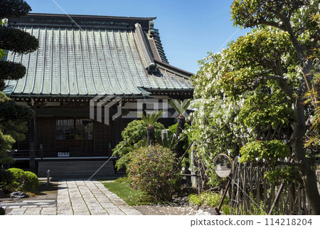 鎌倉 244 九本寺 9 浪速原 114218204