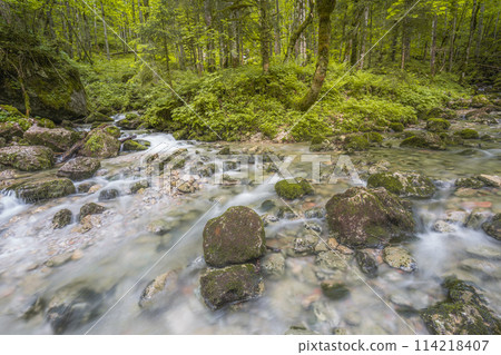 Rothbach Waterfall near Konigssee lake in Berchtesgaden National Park, Germany 114218407