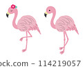可愛的火烈鳥插圖 114219057