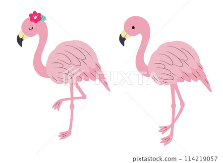 可愛的火烈鳥插圖 114219057