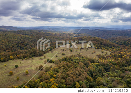 autumn colors. 114219230