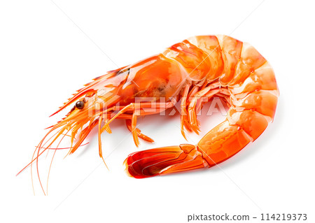 Red cooked tiger king prawn or shrimp isolated on white background with clipping path 114219373