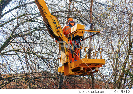 Municipal workers stand with a chainsaw in a crane basket and trim dangerous trees Municipal workers stand with a chainsaw in a crane basket and trim dangerous trees 114219810