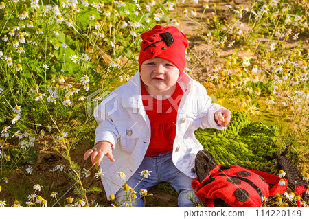 A little girl in embroidery stands in the field. 114220149
