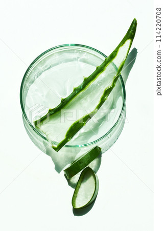 Fresh Aloe Vera with Gel in Transparent Bowl Fresh Aloe Vera with Gel in Transparent Bowl 114220708