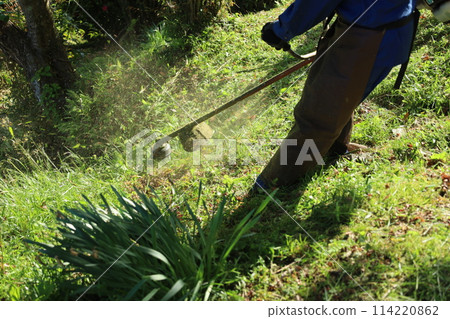 Mowing on a slope 114220862