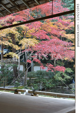 Nanzen-in Temple: Autumn garden seen from the Hojo 114221043