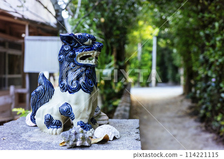 Fukugi trees in Bise 114221115