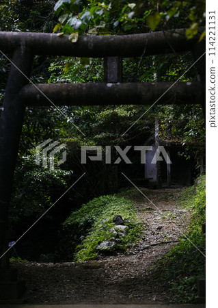 森林和牌坊 114221131