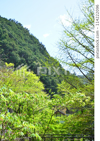 Spring - the season of fresh greenery - Village scenery from the forest road to Kuroyama Sandaki Waterfalls 114222096