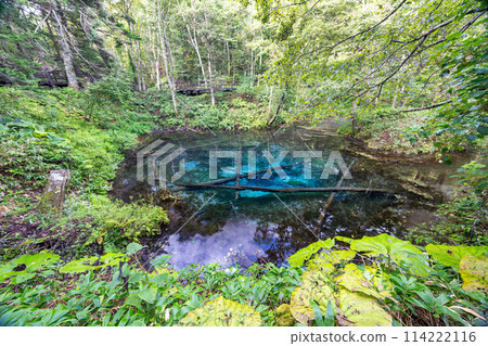 Hokkaido / Miraculous spring "Kaminoko Pond" in summer with its mysterious blue and transparency Hokkaido / Miraculous spring "Kaminoko Pond" in summer with its mysterious blue and transparency 114222116