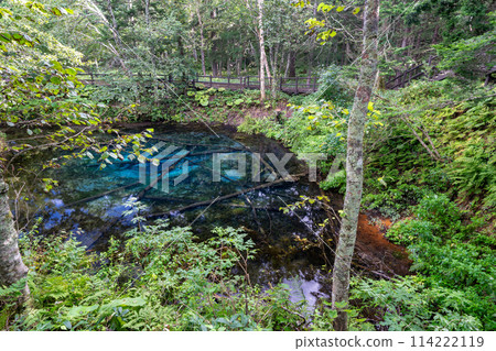 Hokkaido / Miraculous spring "Kaminoko Pond" in summer with its mysterious blue and transparency Hokkaido / Miraculous spring "Kaminoko Pond" in summer with its mysterious blue and transparency 114222119