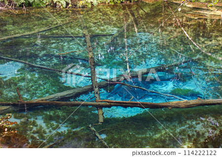 Hokkaido / Miraculous spring "Kaminoko Pond" in summer with its mysterious blue and transparency Hokkaido / Miraculous spring "Kaminoko Pond" in summer with its mysterious blue and transparency 114222122