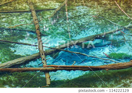 Hokkaido / Miraculous spring "Kaminoko Pond" in summer with its mysterious blue and transparency Hokkaido / Miraculous spring "Kaminoko Pond" in summer with its mysterious blue and transparency 114222129