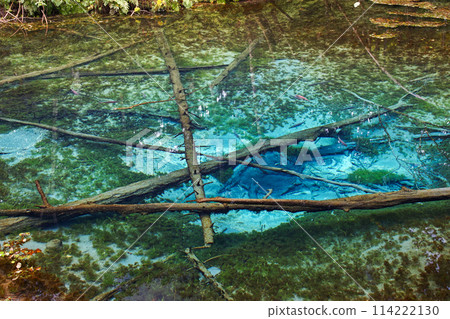Hokkaido / Miraculous spring "Kaminoko Pond" in summer with its mysterious blue and transparency 114222130