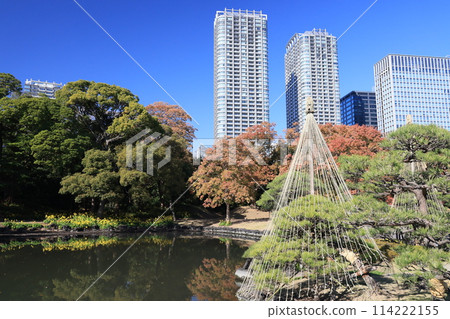 Autumn scenery at Hama-rikyu Gardens Autumn scenery at Hama-rikyu Gardens 114222155