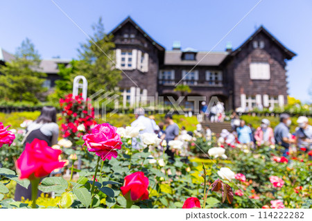 Roses and Western-style building in the Kyu-Furukawa Gardens Roses and Western-style building in the Kyu-Furukawa Gardens 114222282