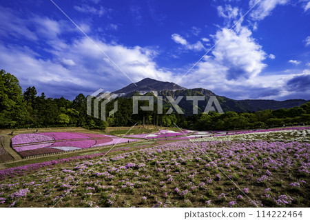 Rishan Park Shiba Sakura Hill和Mt. 114222464