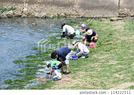衝浪捕蛤 114222511