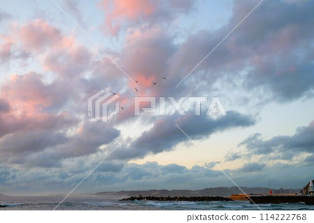 烏鴉在傍晚的天空中飛翔 114222768