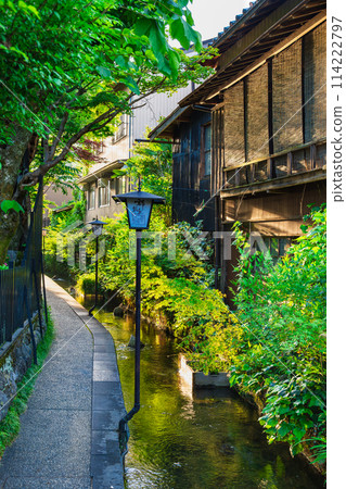 Gujo Hachiman Igawa Path Morning Scene 114222797