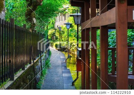 郡上八幡井川小路晨景 114222910