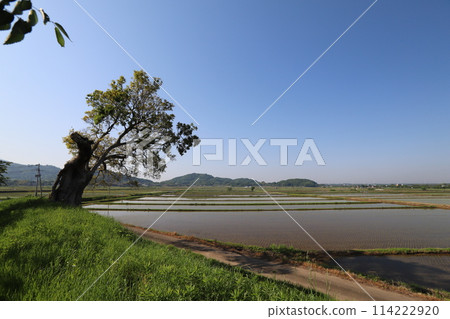 The rural scenery at the foot of Mount Tsukuba The rural scenery at the foot of Mount Tsukuba 114222920