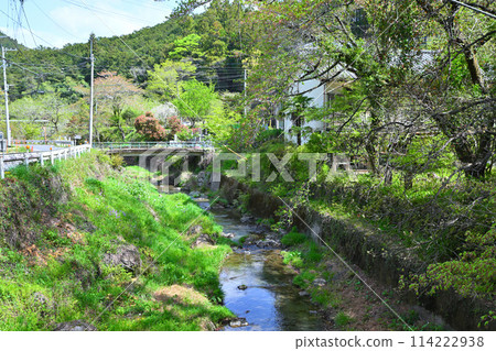 Spring village scenery near the starting point of the Kobe River, the season of fresh greenery 114222938