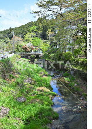 Spring village scenery near the starting point of the Kobe River, the season of fresh greenery 114222944