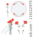 Red carnation frame 114222979