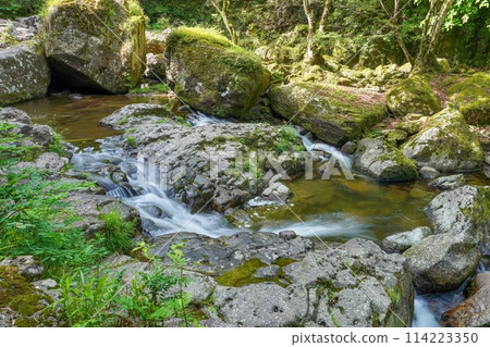 Scenery of a small waterfall surrounded by moss-covered rocks seen at Akame Shijuhachi Falls 114223350