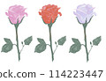Cute rose illustration 114223447