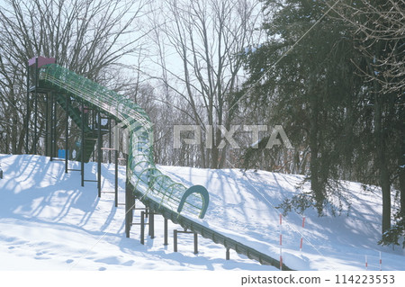 Beautiful winter park 114223553