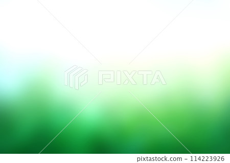 Blur imanges of green grass,sky blurred bokeh background, Natural outdoors background. bright tone. 114223926