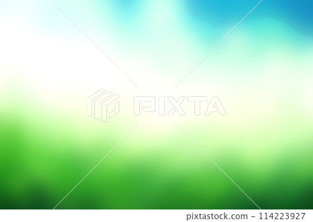 Blur imanges of green grass,sky blurred bokeh background, Natural outdoors background. bright tone. 114223927