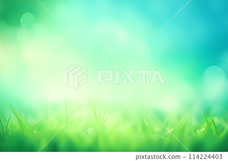 Green grass,sky blurred bokeh background, Natural outdoors background. 114224403
