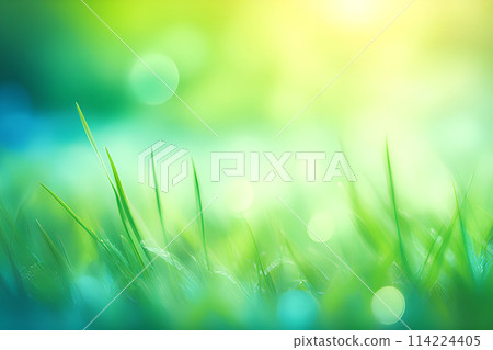 Green grass,sky blurred bokeh background, Natural outdoors background. 114224405