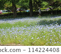 孩子們在公園裡玩 114224408