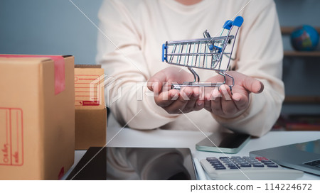 Business woman holding shopping cart represent to on line store or e commerce marketing connection, Online shopping concepts with payment his order on a lot of product package box. 114224672