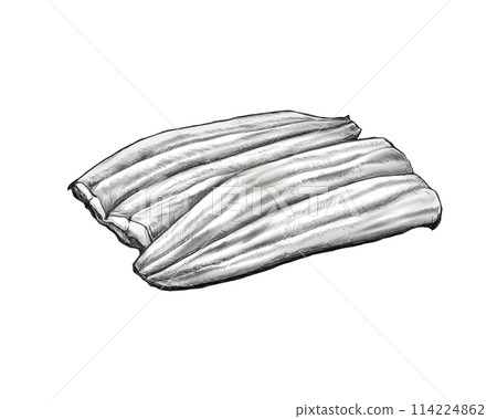 烤鰻魚的逼真黑白插圖 烤鰻魚的逼真黑白插圖 114224862
