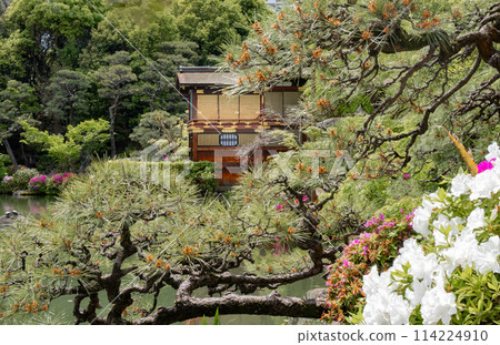 春天神戶市相樂園日式花園的船屋形花園和杜鵑花 114224910