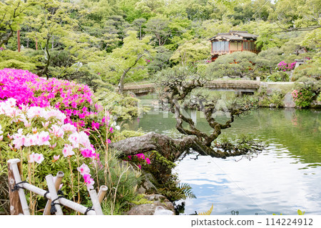 Spring in Kobe, Japan: Boathouse-style garden and azaleas in Sorakuen Japanese garden 114224912