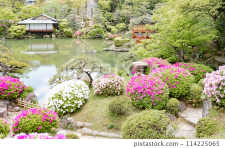 Spring in Kobe, Japan: Boathouse-style building, Kanshintei teahouse and azaleas in the Japanese garden at Sorakuen Spring in Kobe, Japan: Boathouse-style building, Kanshintei teahouse and azaleas in the Japanese garden at Sorakuen 114225065