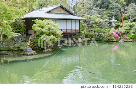 Spring in Kobe, Japan - Kanshintei teahouse and azaleas in the Japanese garden of Sorakuen Spring in Kobe, Japan - Kanshintei teahouse and azaleas in the Japanese garden of Sorakuen 114225228