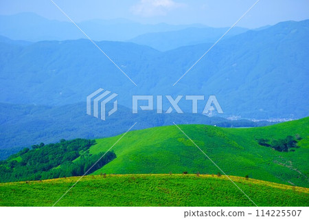 Scenery of Kirigamine Plateau in summer 114225507