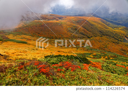 Autumn foliage on the mountainside as seen from Mt. Kurikoma 114226574