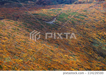 Autumn foliage on the mountainside as seen from Mt. Kurikoma 114226580