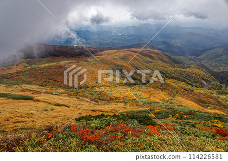 秋天從栗駒山看到的紅葉 秋天從栗駒山看到的紅葉 114226581