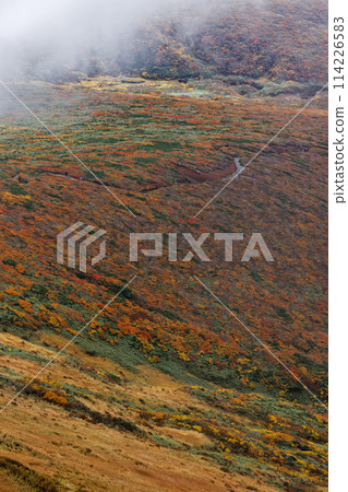 秋天從栗駒山看到的紅葉 秋天從栗駒山看到的紅葉 114226583